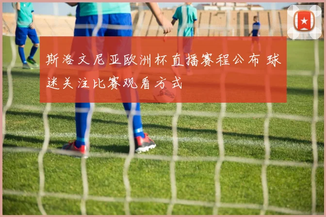斯洛文尼亚欧洲杯直播赛程公布 球迷关注比赛观看方式