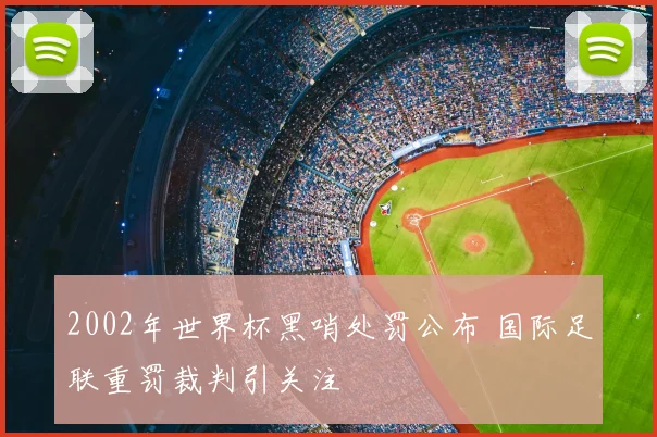 2002年世界杯黑哨处罚公布 国际足联重罚裁判引关注