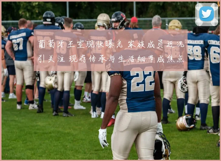 葡萄牙王室现状曝光 家族成员近况引关注 现存传承与生活细节成焦点