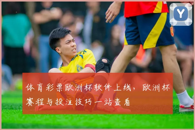 体育彩票欧洲杯软件上线，欧洲杯赛程与投注技巧一站查看