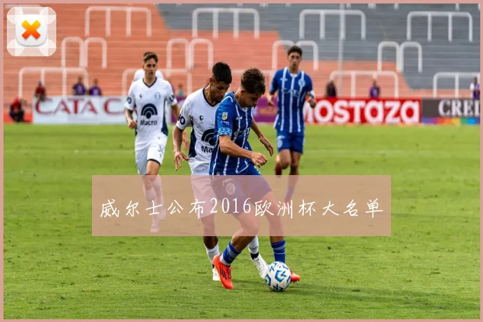 威尔士公布2016欧洲杯大名单