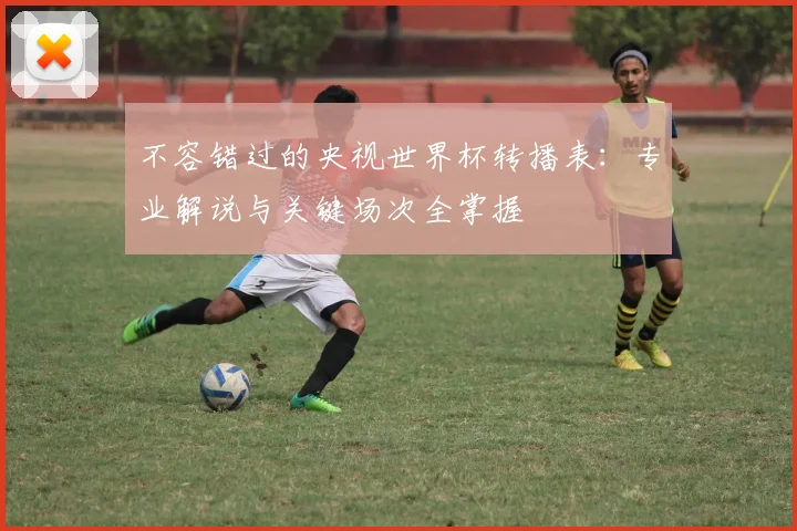 不容错过的央视世界杯转播表：专业解说与关键场次全掌握