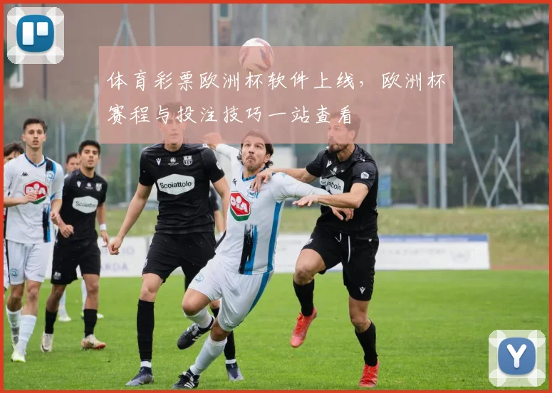 体育彩票欧洲杯软件上线，欧洲杯赛程与投注技巧一站查看