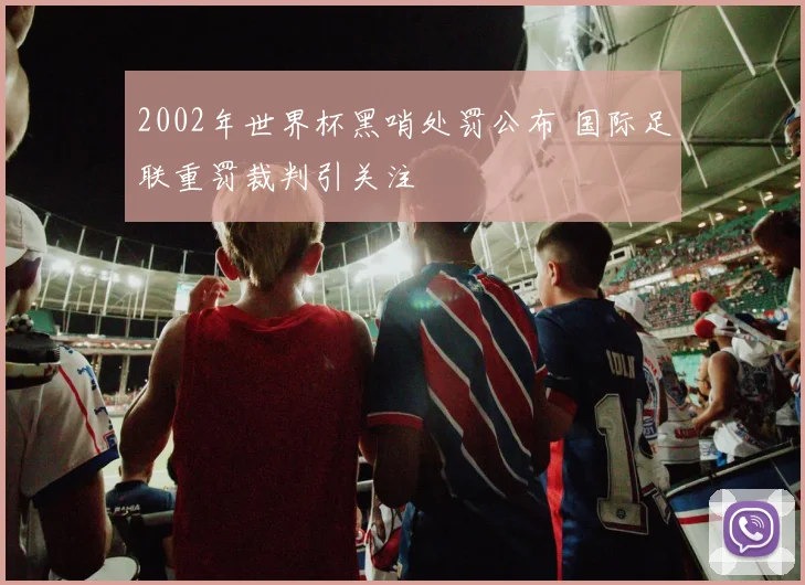 2002年世界杯黑哨处罚公布 国际足联重罚裁判引关注
