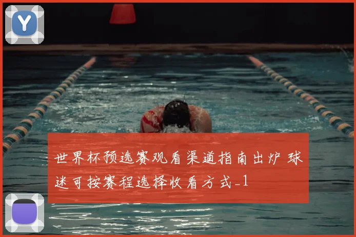 世界杯预选赛观看渠道指南出炉 球迷可按赛程选择收看方式_1